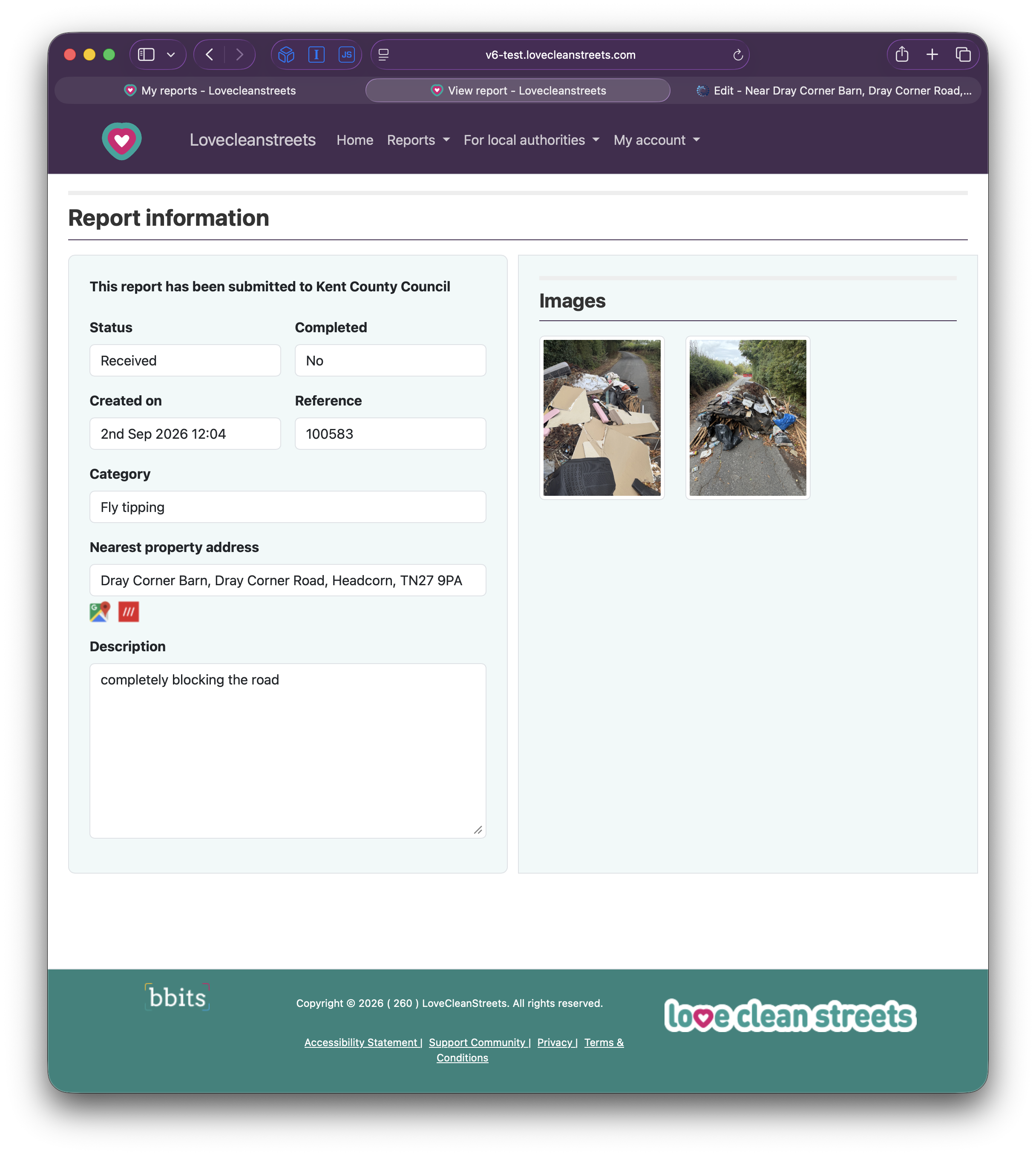 View report information screen on the Love Clean Streets website